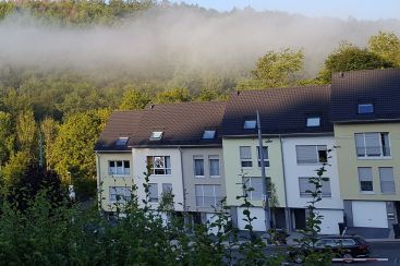 Nebelige Morgenstimmung über den Nachbarschaftshäusern, umgeben von grünen Bäumen und sanften Hügeln.